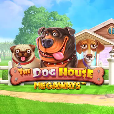 Dog House